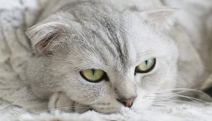 kaiyun-热火球迷票选最烂球员：2600万先生0分钟躺赚，连续两年&amp;quot;封王&amp;quot;