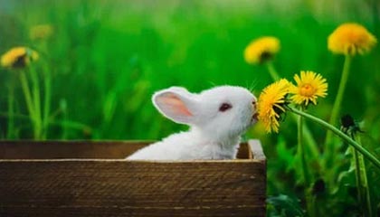 kaiyun-热火球迷票选最烂球员：2600万先生0分钟躺赚，连续两年&amp;quot;封王&amp;quot;